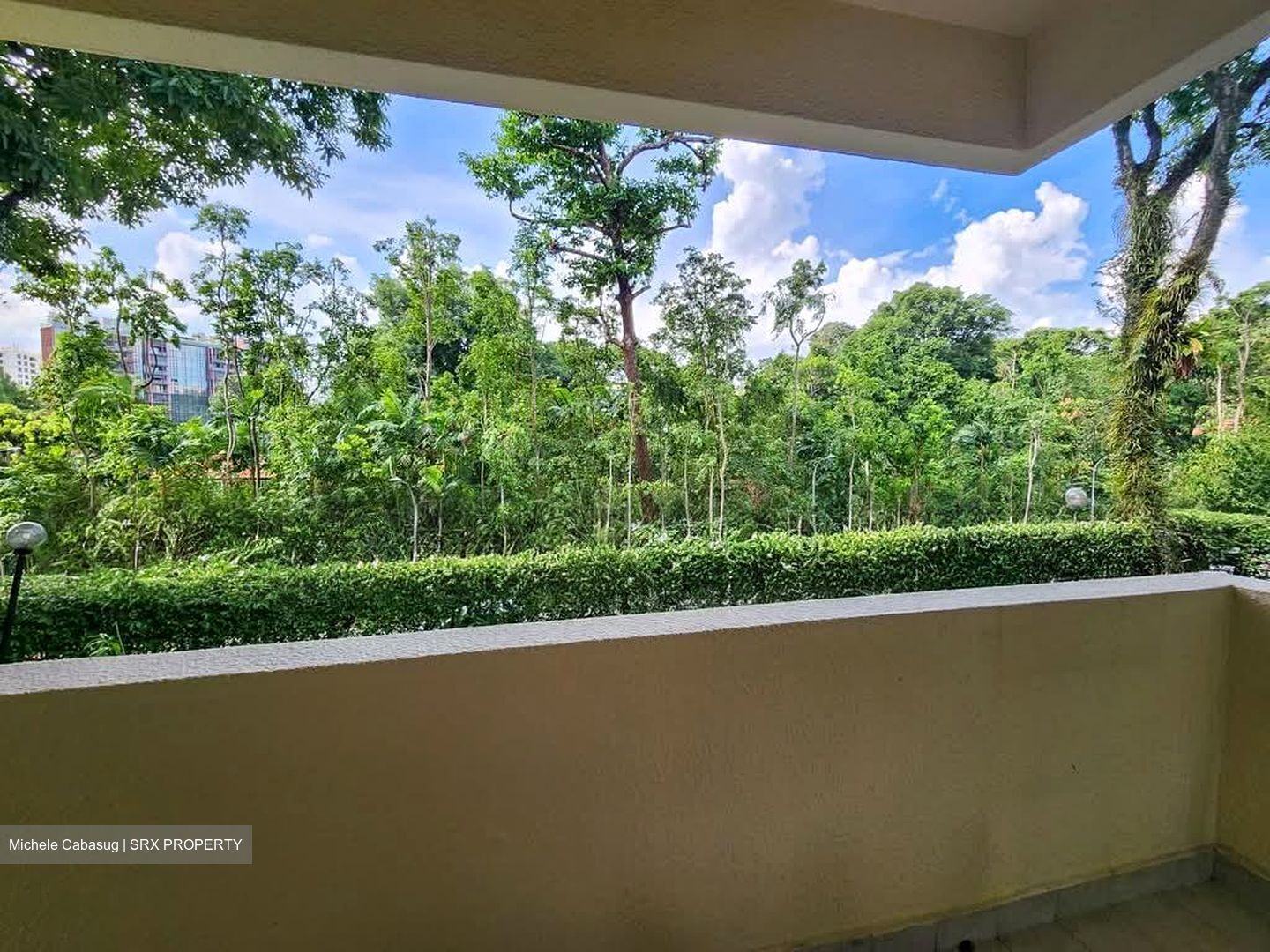 The Draycott (D10), Apartment #558680861
